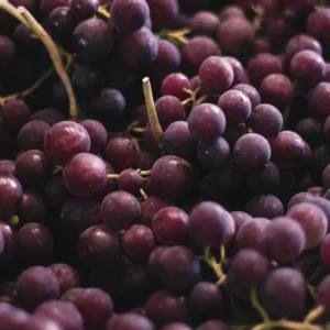 Cotton Candy Grapes 1.5 lb — Fresh Produce at Gallen Shop