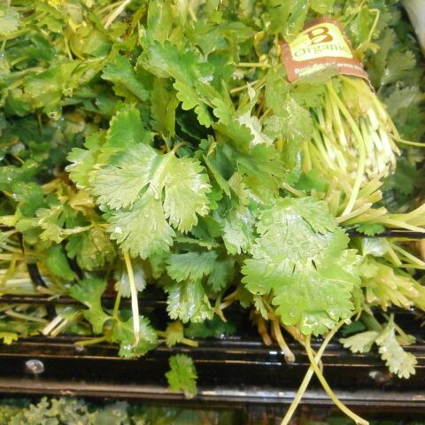 Fresh Farms Fresh Herbs Cilantro 0.5 oz — front of pack