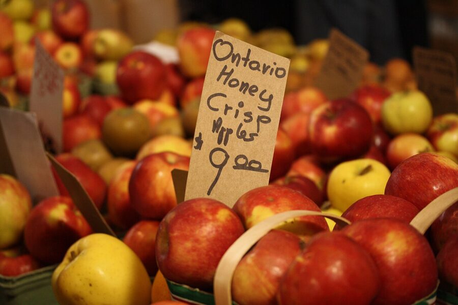 Fresh Farms Honeycrisp Apples Fresh 3 lb Bag — Front view
