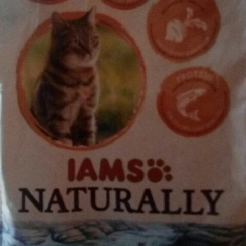 Iams Dry Cat Food Salmon 3.5 lb — front of pack
