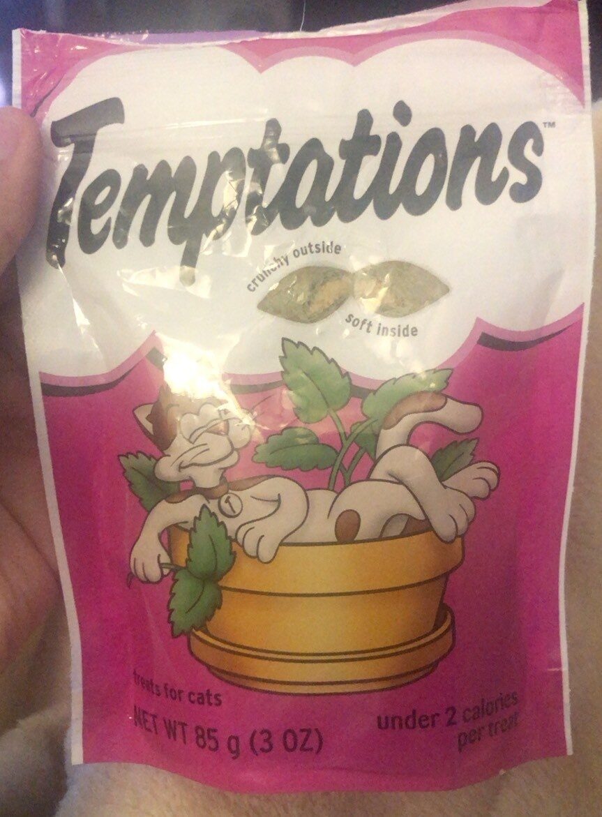 Temptations Cat Treats Seafood Medley 6.3 oz — Front view