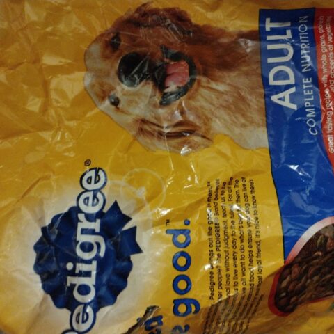 Pedigree Dry Dog Food Grilled Steak & Vegetable 18 lb — front of pack