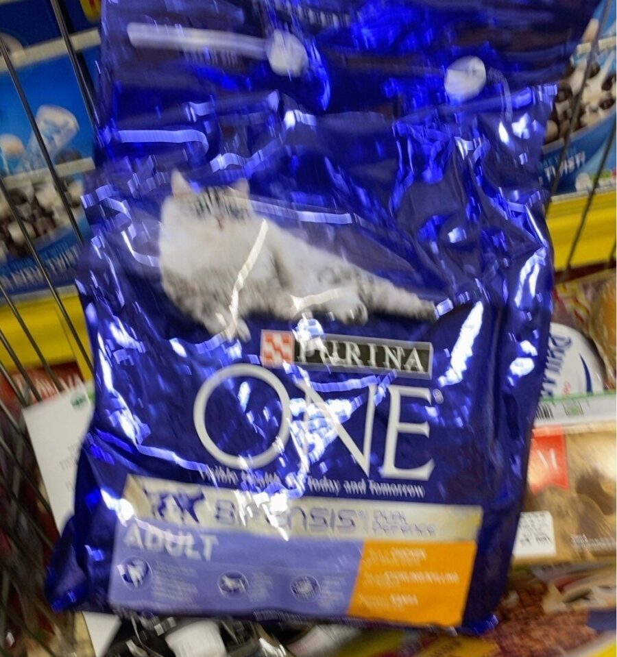 Purina Dry Dog Food Chicken & Rice 4 lb — Front view
